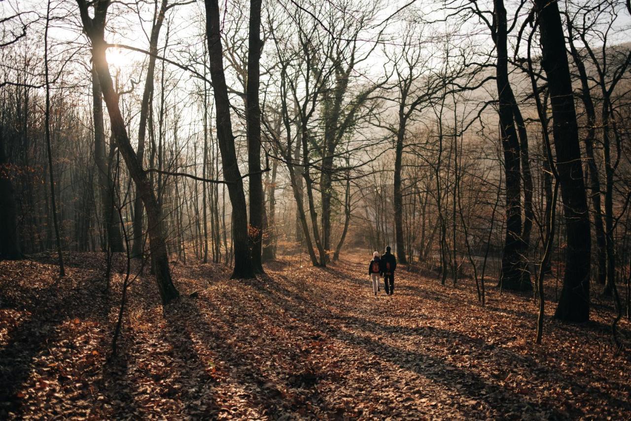 Krone Svätý Jur Buitenkant foto